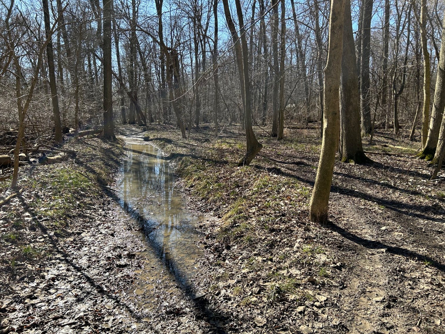 Image for 42 Wooded Acres with Cabin