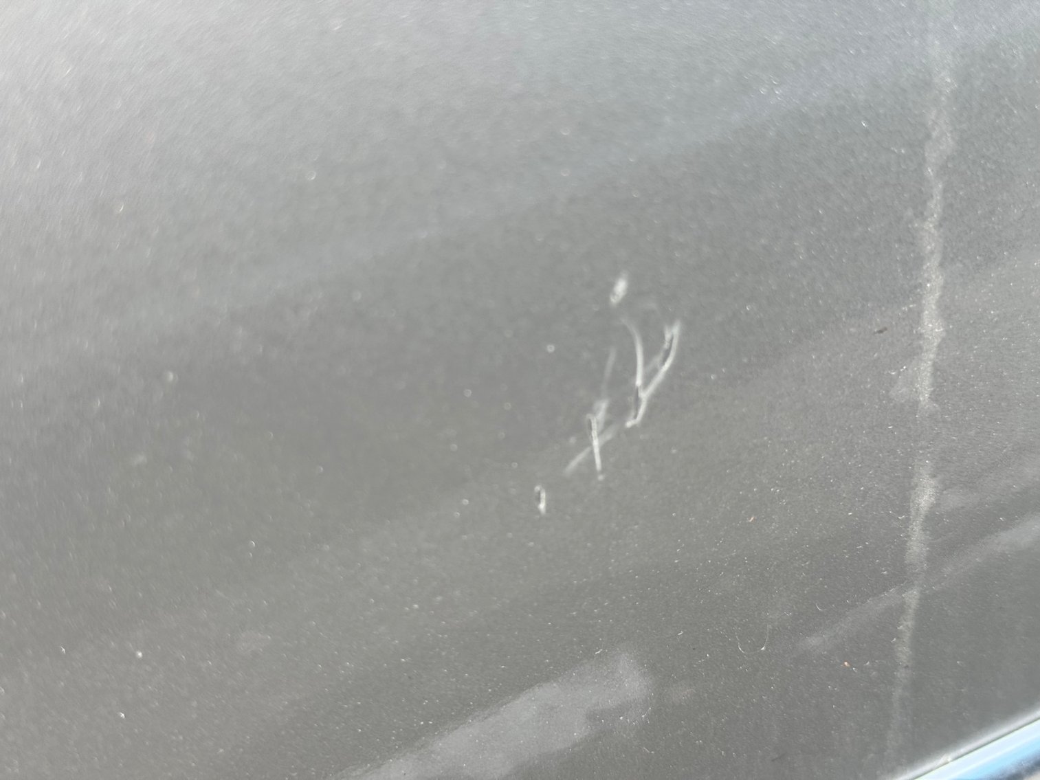 Image for 2004 Volkswagen Jetta GLS