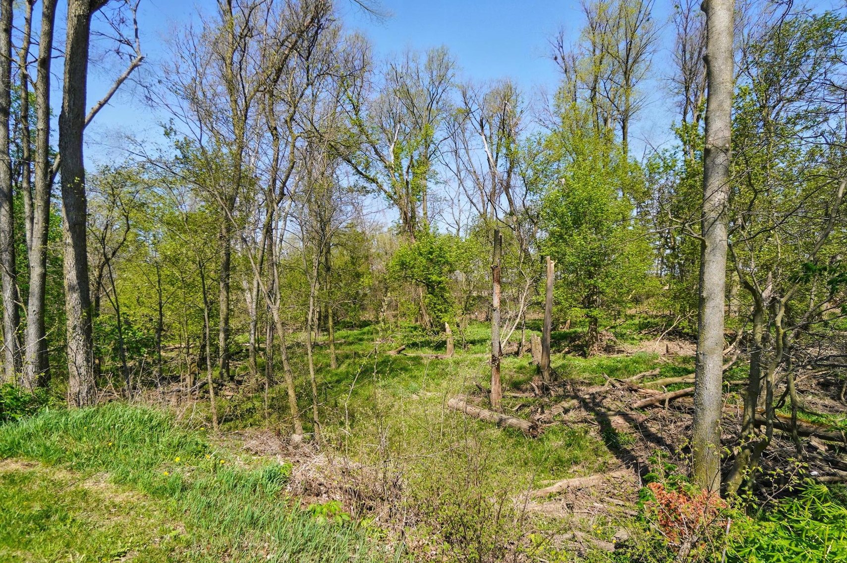 Image for 14100 S River Rd, Pemberville OH 43450