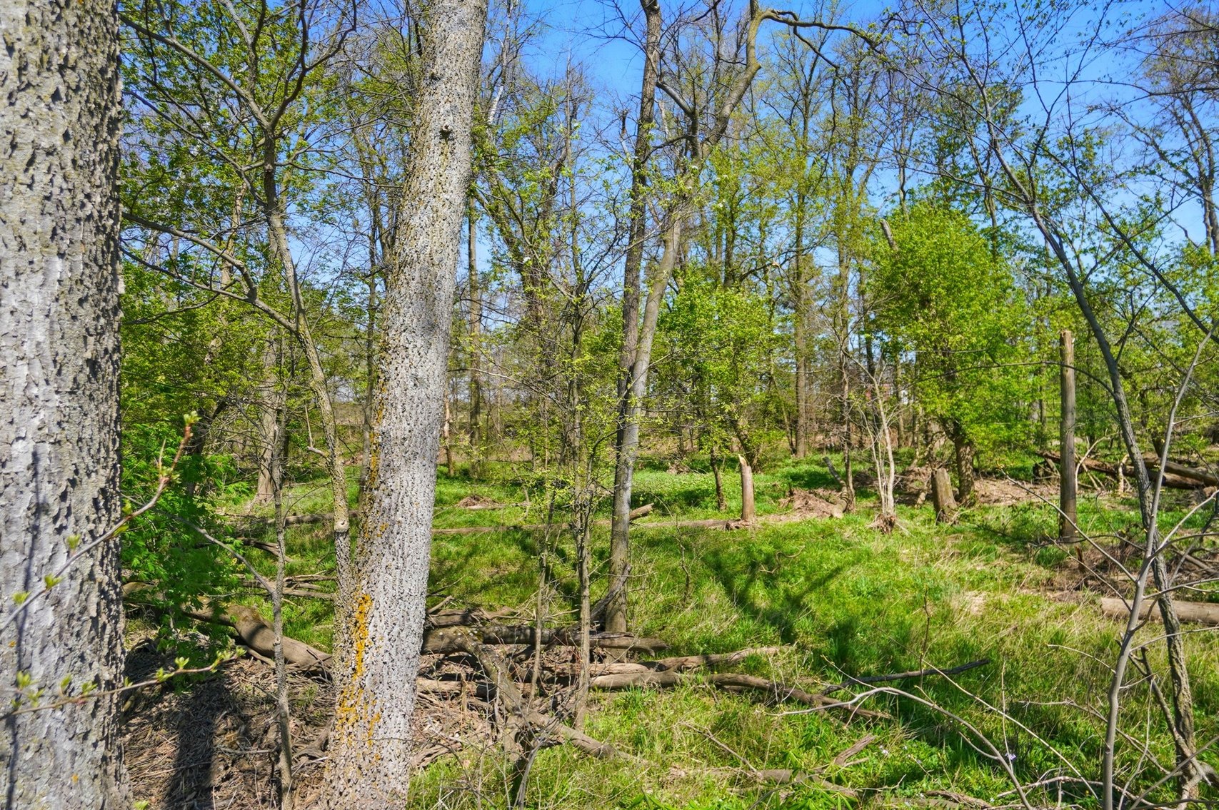 Image for 14100 S River Rd, Pemberville OH 43450