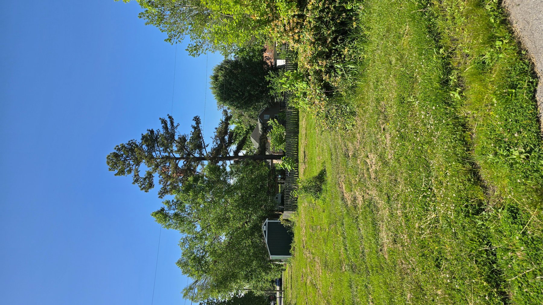 Image for Ready for Your Magic Touch: Herrin Home at Online Auction