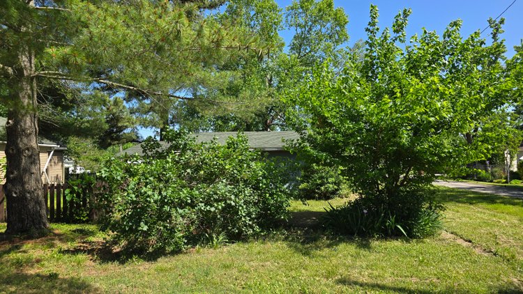 Image for Ready for Your Magic Touch: Herrin Home at Online Auction