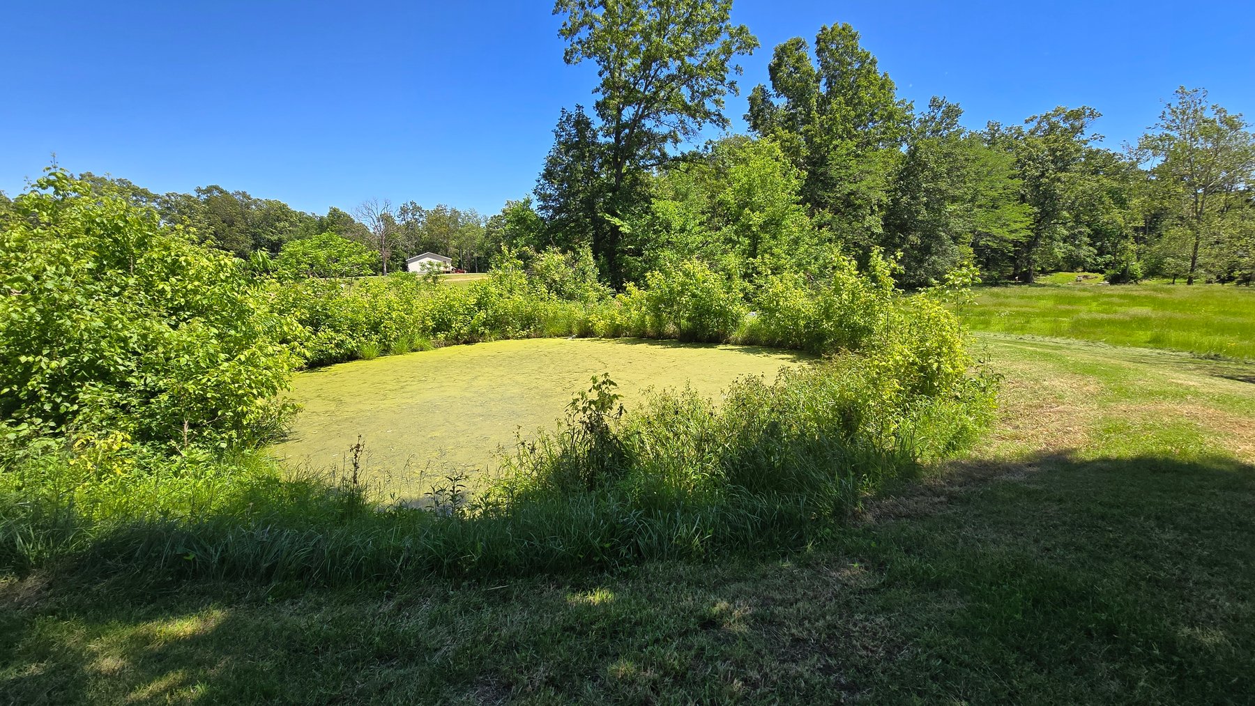 Image for Peaceful Country Living with Privacy and Space