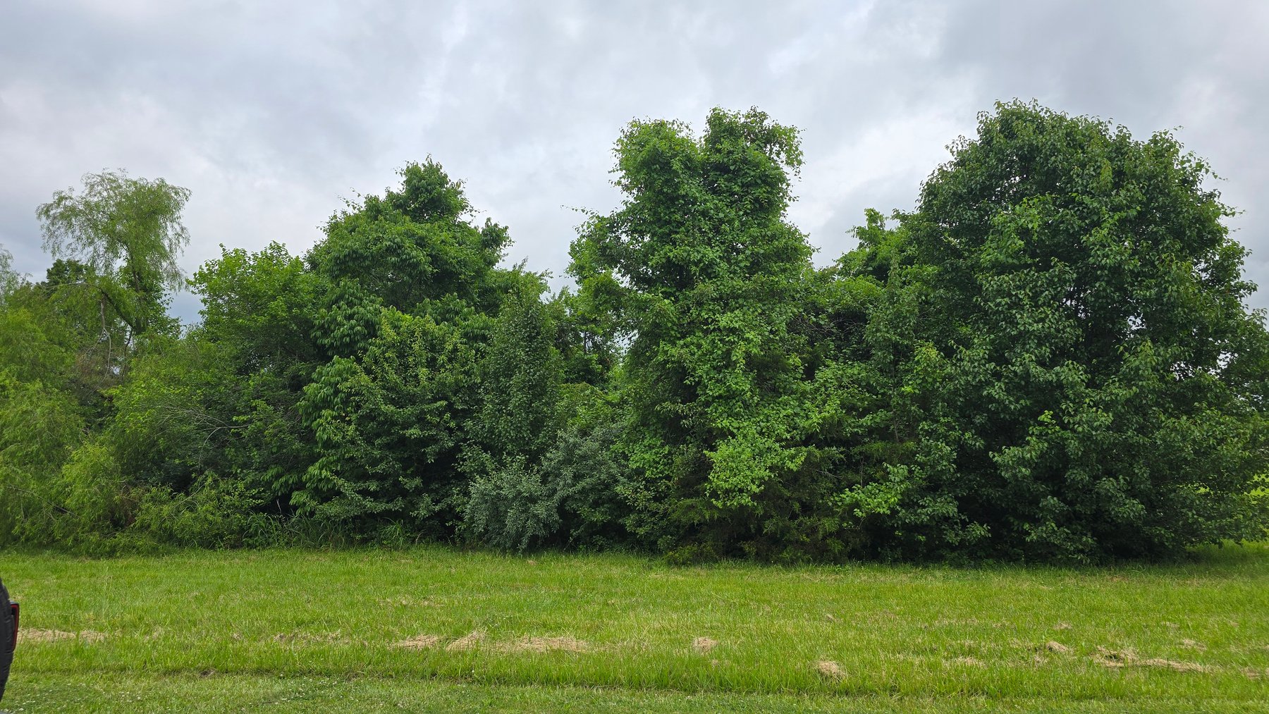 Image for 6.1 Acres - Commercial Development Tract - Carbondale, Illinois - Online Real Estate Auction