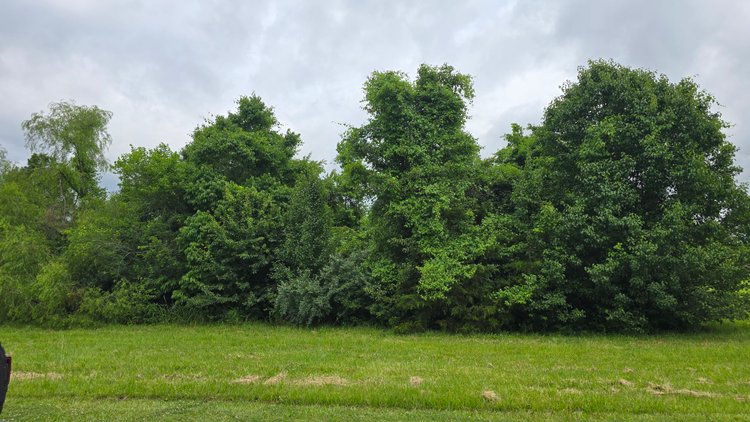 Image for 6.1 Acres - Commercial Development Tract - Carbondale, Illinois - Online Real Estate Auction