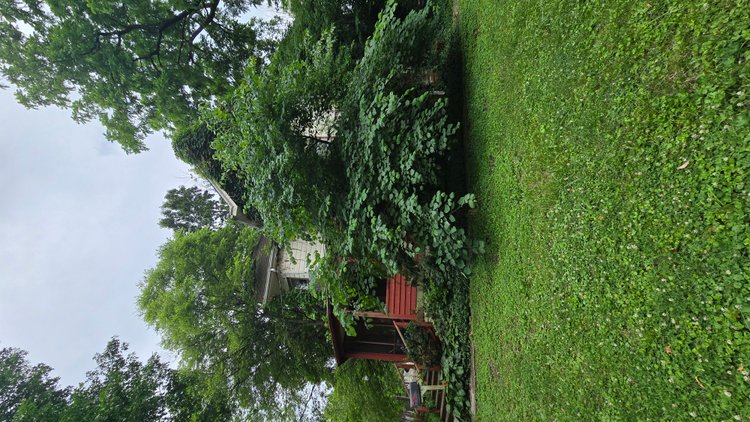 Image for Historical Gem with Original Details: Victorian-Era Home Ready for Revival