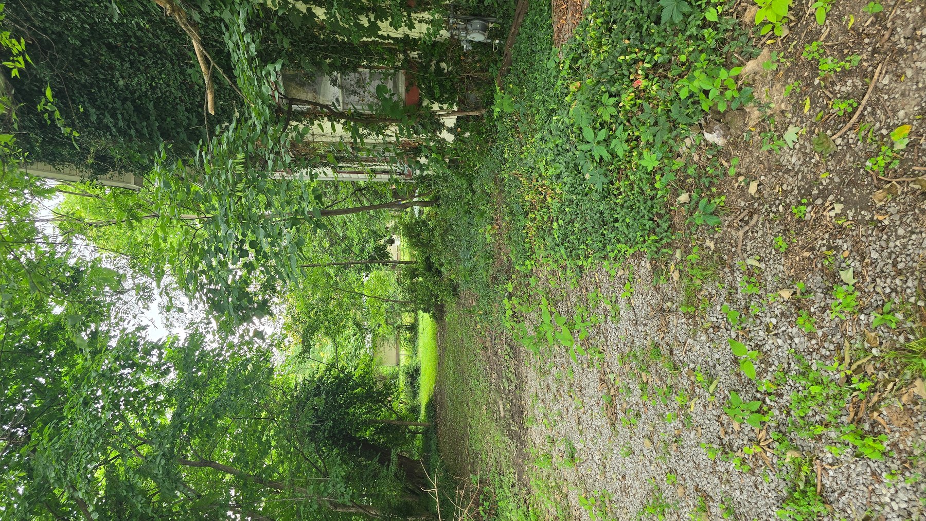 Image for Historical Gem with Original Details: Victorian-Era Home Ready for Revival