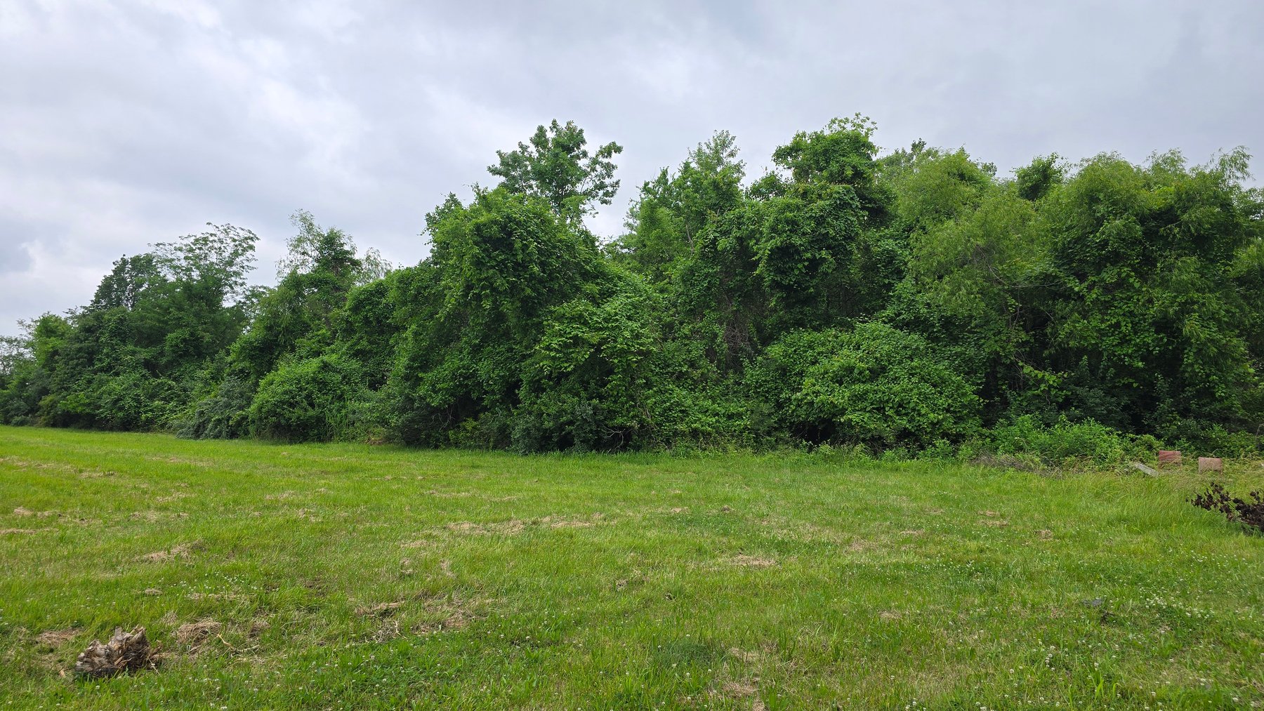 Image for 6.1 Acres - Commercial Development Tract - Carbondale, Illinois - Online Real Estate Auction