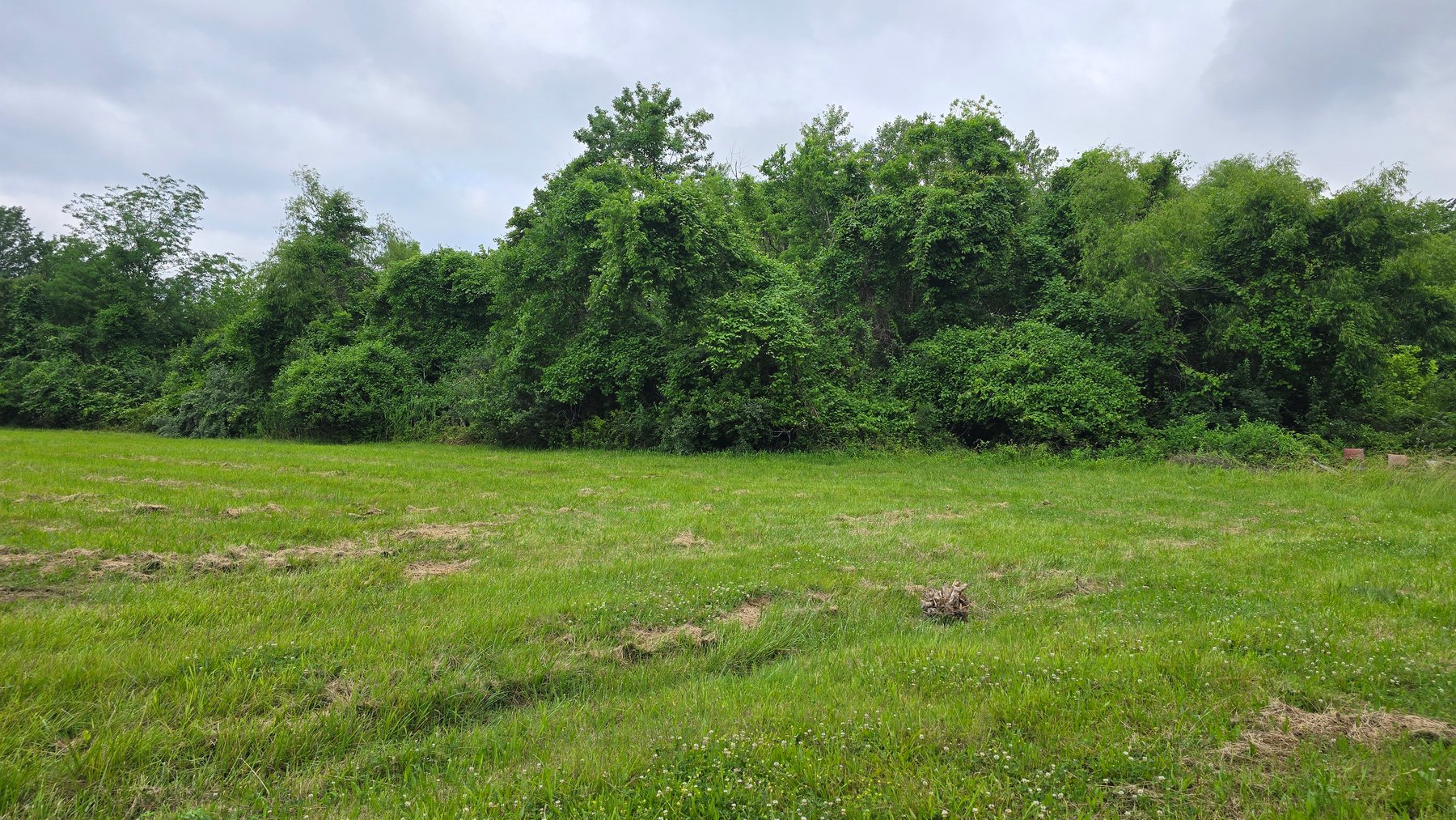 Image for 6.1 Acres - Commercial Development Tract - Carbondale, Illinois - Online Real Estate Auction
