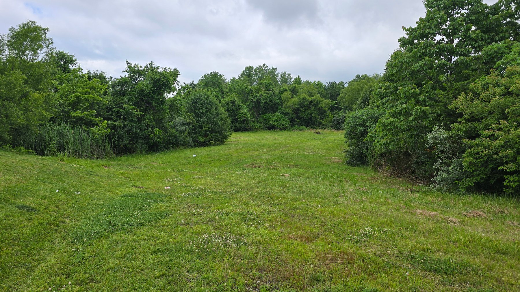 Image for 6.1 Acres - Commercial Development Tract - Carbondale, Illinois - Online Real Estate Auction