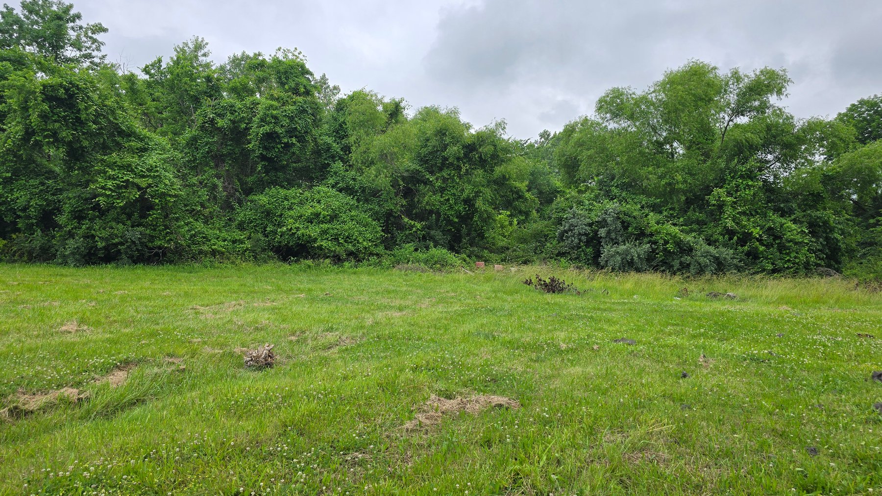 Image for 6.1 Acres - Commercial Development Tract - Carbondale, Illinois - Online Real Estate Auction