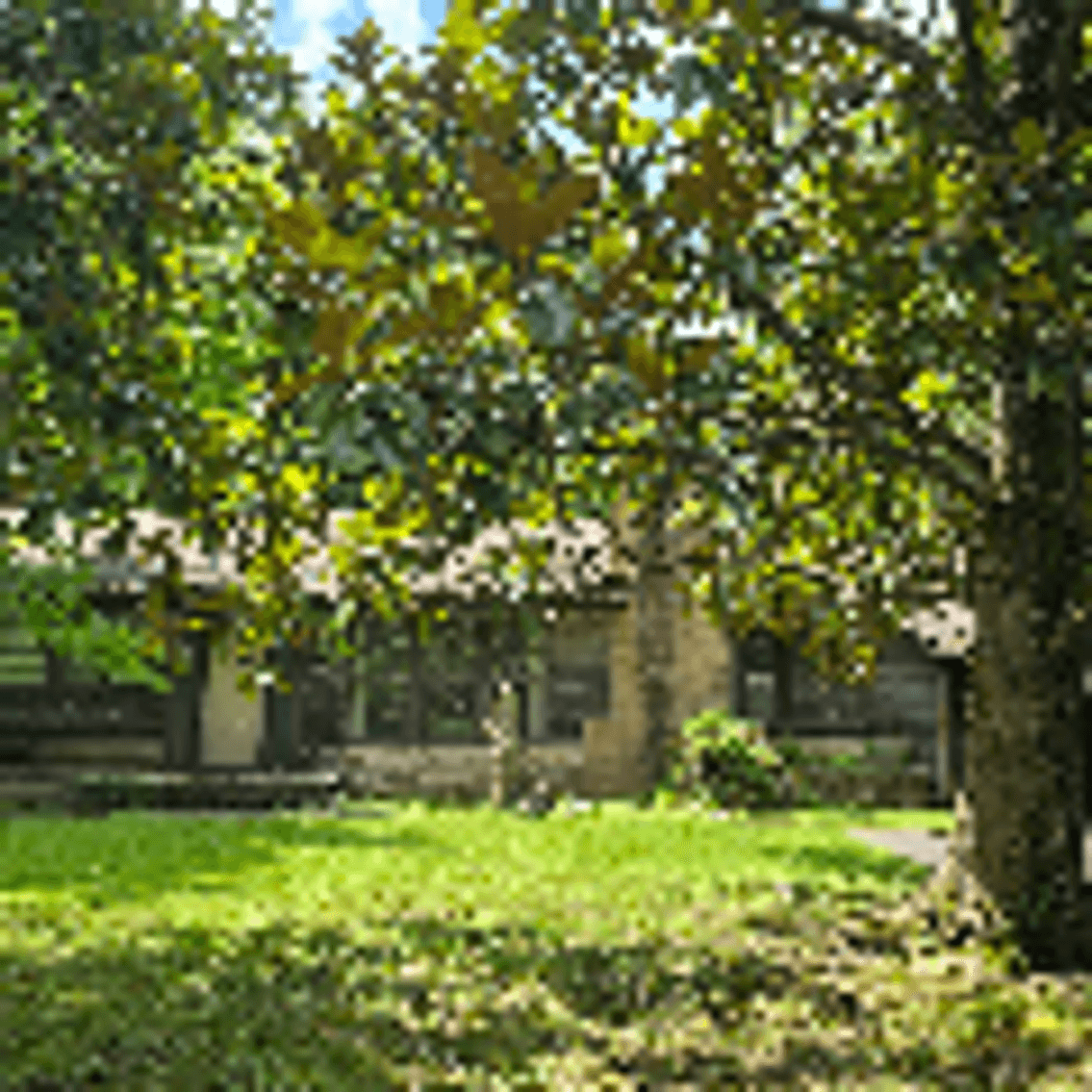 Image for Mid-Century Modern Home Ready for New Owner at Auction