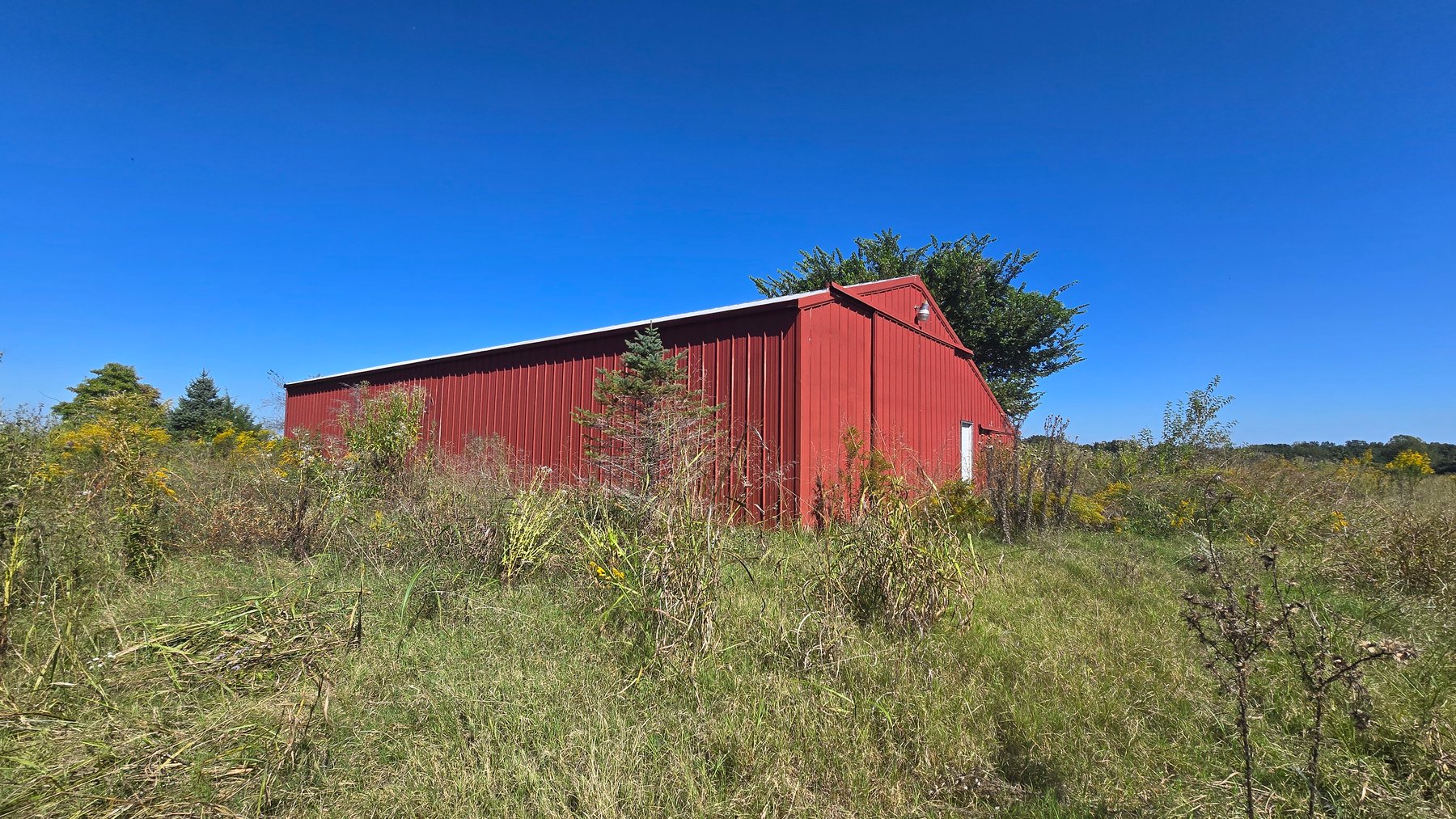 Image for LAND AUCTION - 68.9± ACRES IN 3 TRACTS WITH BARNS