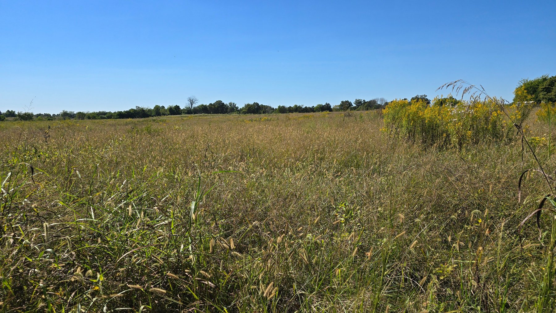 Image for LAND AUCTION - 68.9± ACRES IN 3 TRACTS WITH BARNS