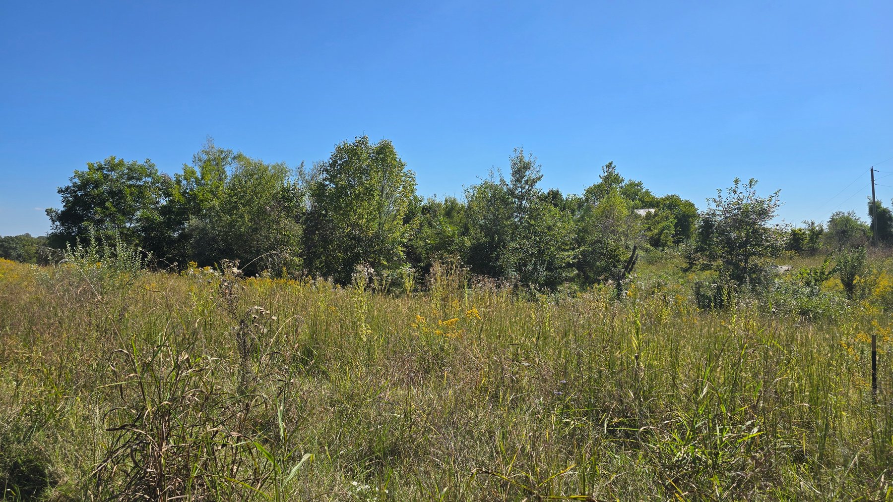 Image for LAND AUCTION - 68.9± ACRES IN 3 TRACTS WITH BARNS