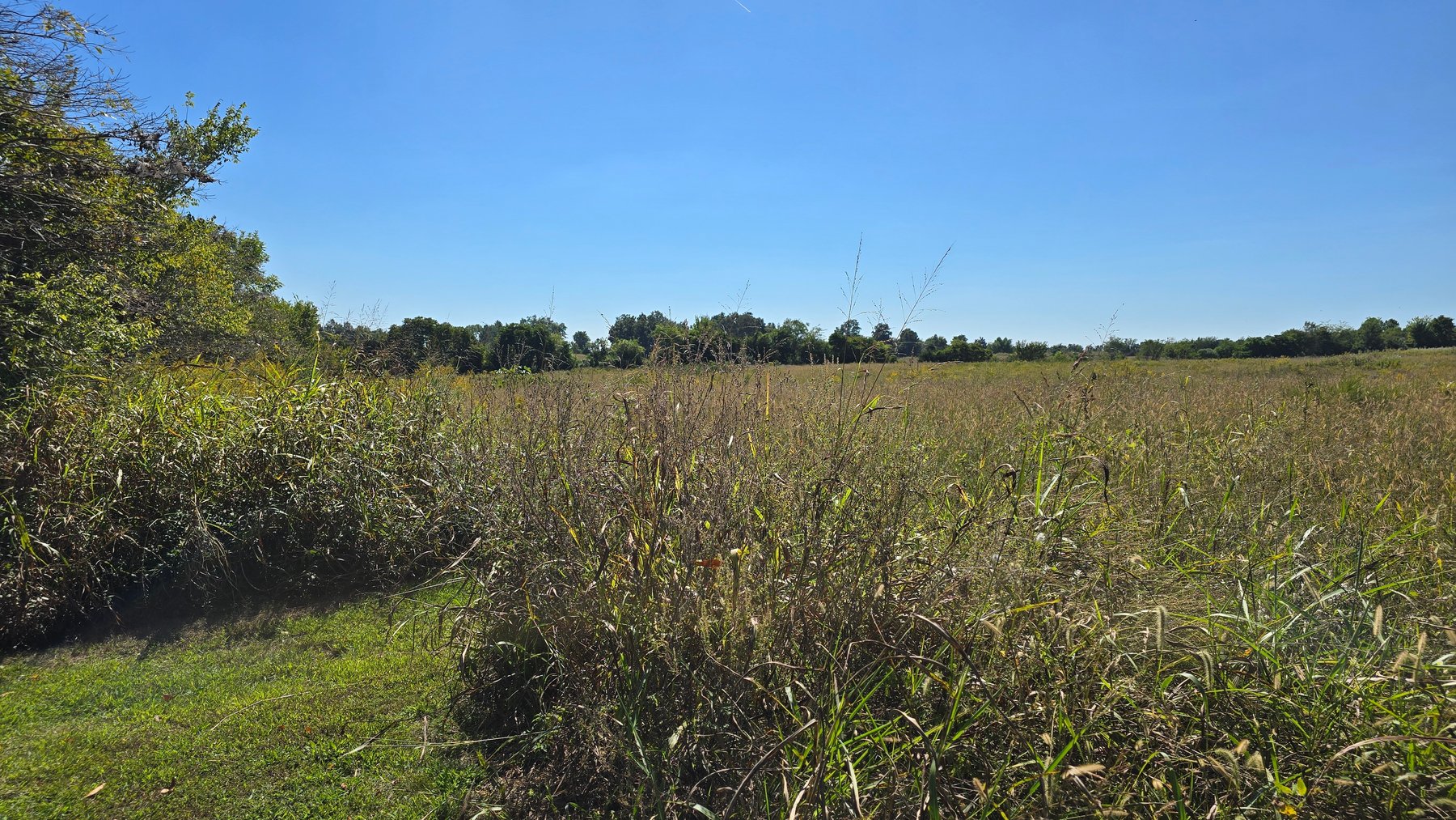 Image for LAND AUCTION - 68.9± ACRES IN 3 TRACTS WITH BARNS