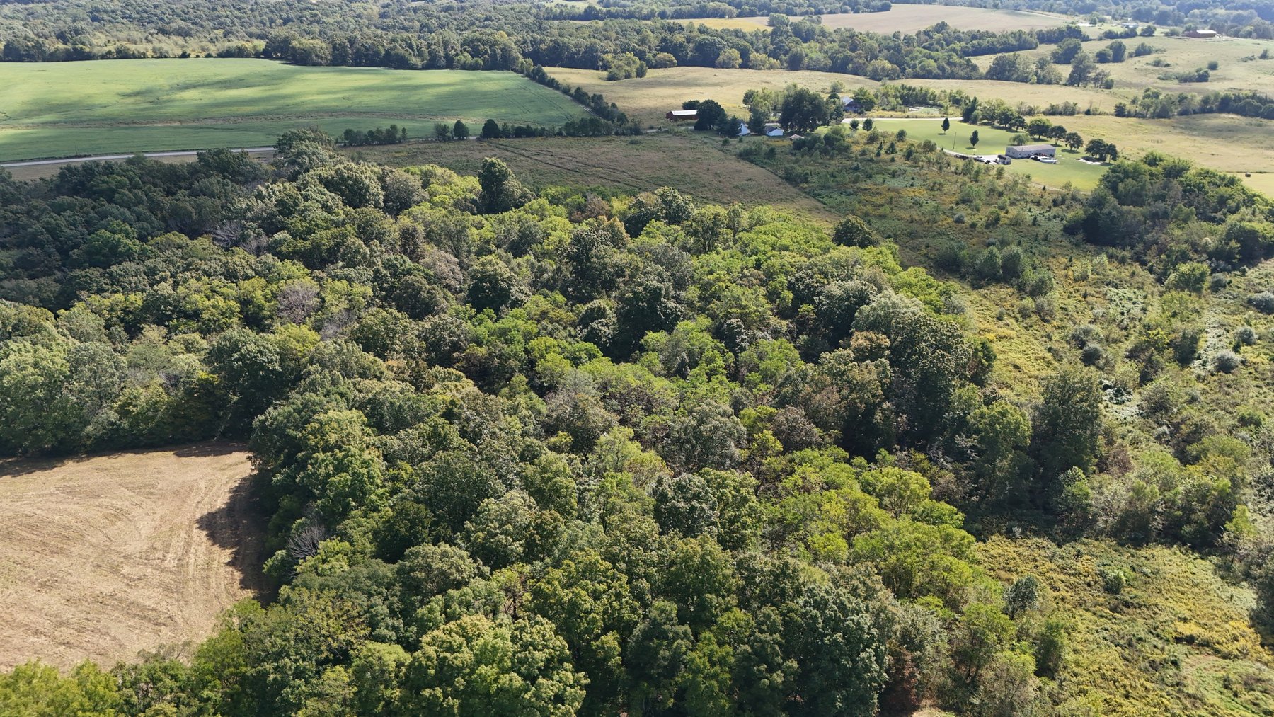 Image for LAND AUCTION - 68.9± ACRES IN 3 TRACTS WITH BARNS