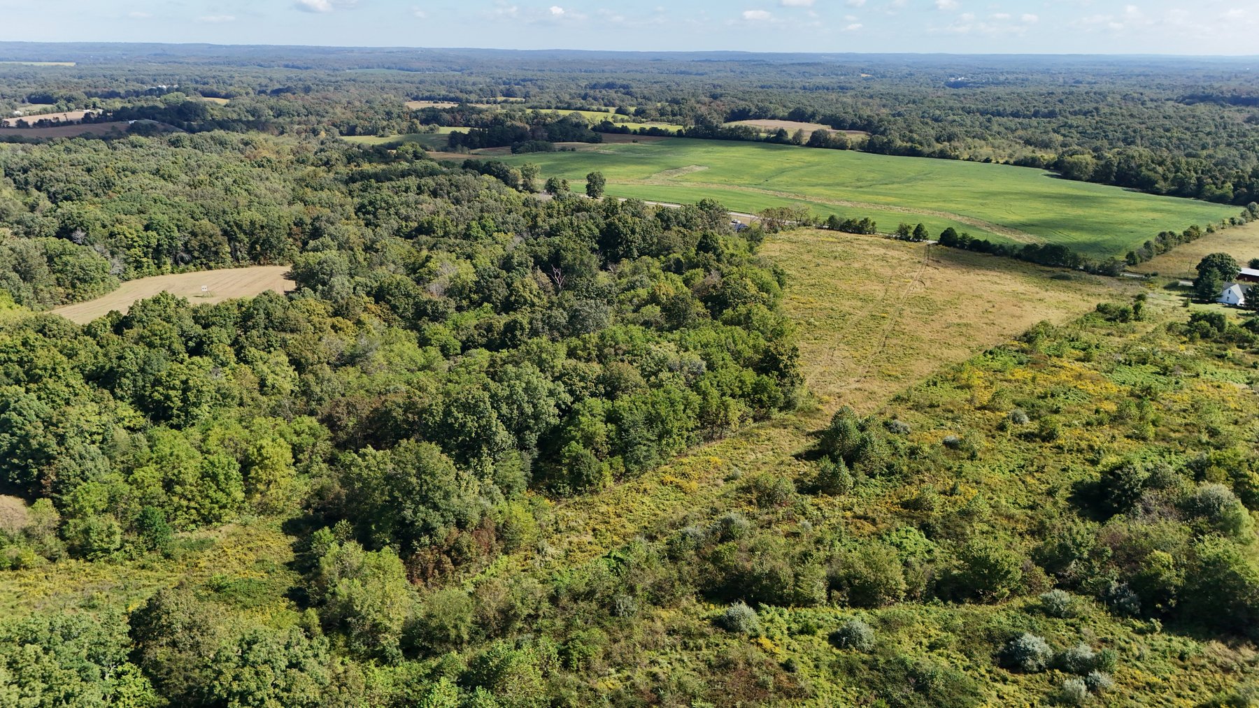 Image for LAND AUCTION - 68.9± ACRES IN 3 TRACTS WITH BARNS