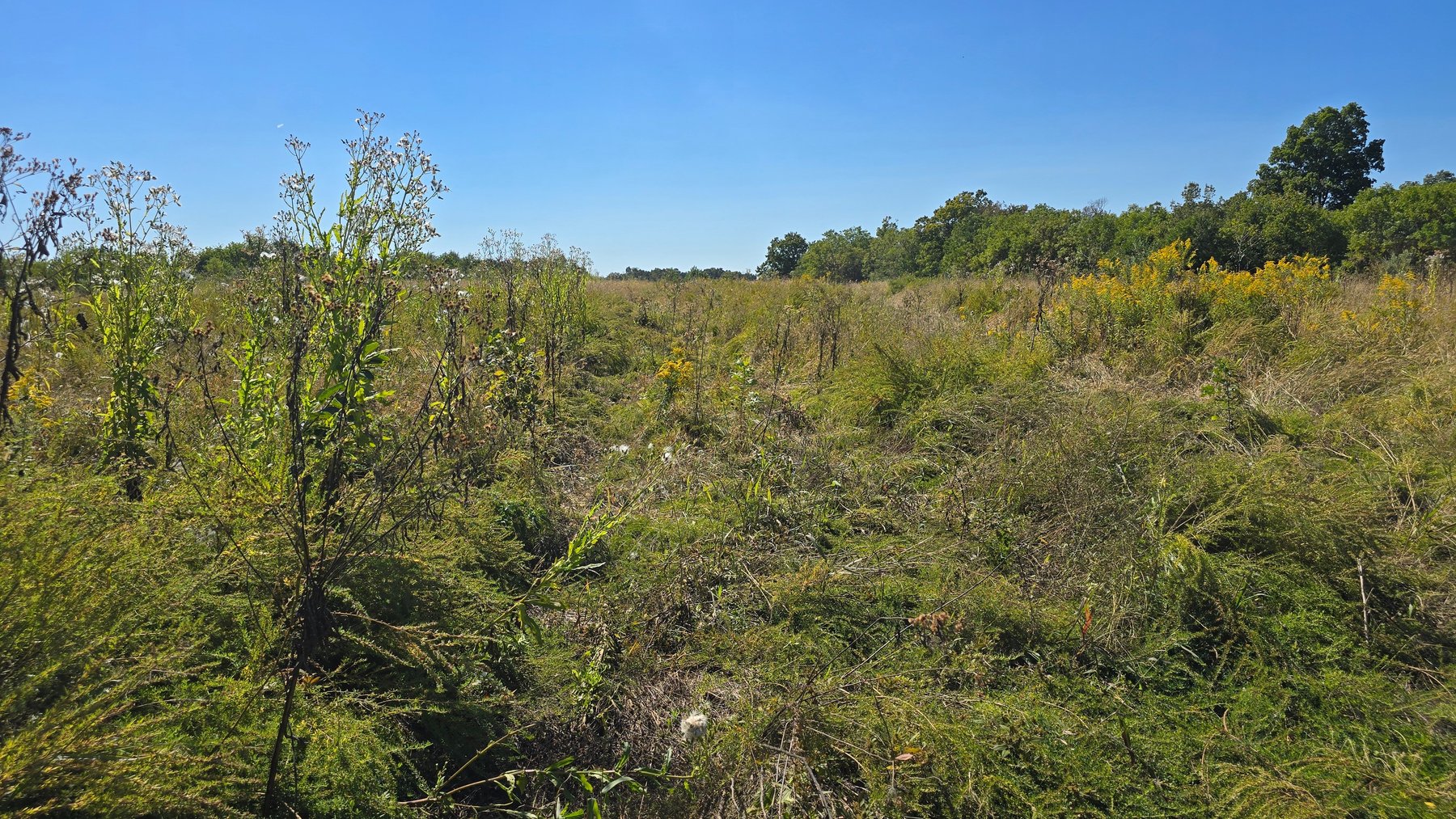 Image for LAND AUCTION - 68.9± ACRES IN 3 TRACTS WITH BARNS