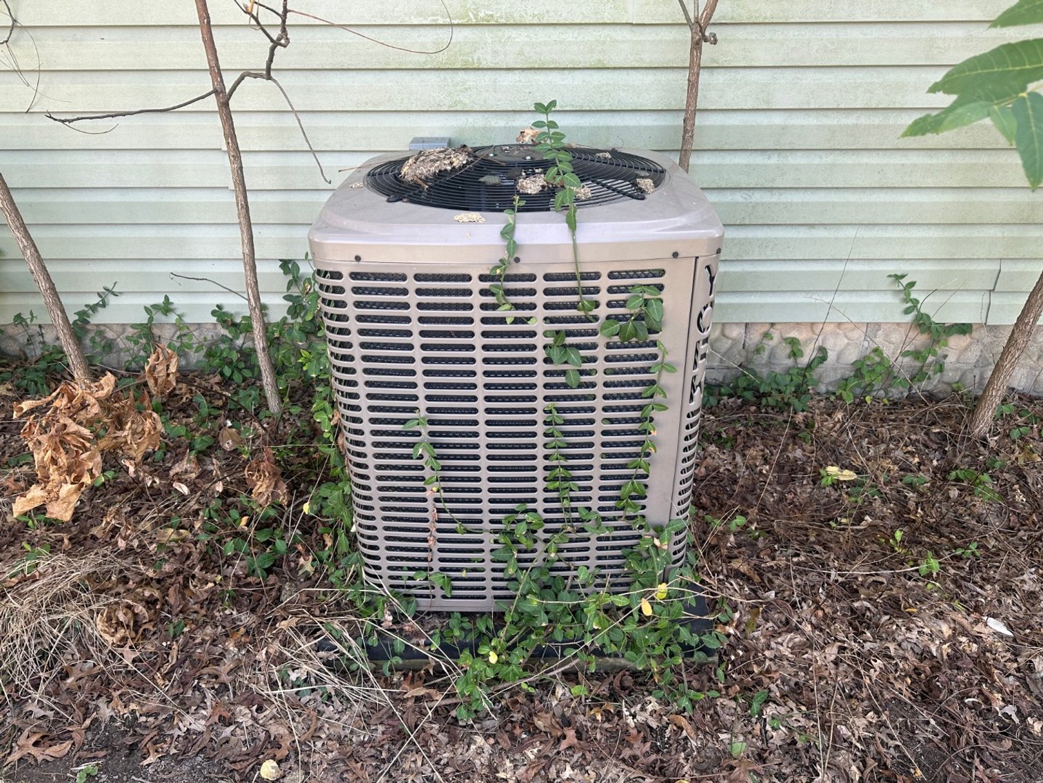 Image for Corner Lot Charm in Carterville Online Only Real Estate Auction