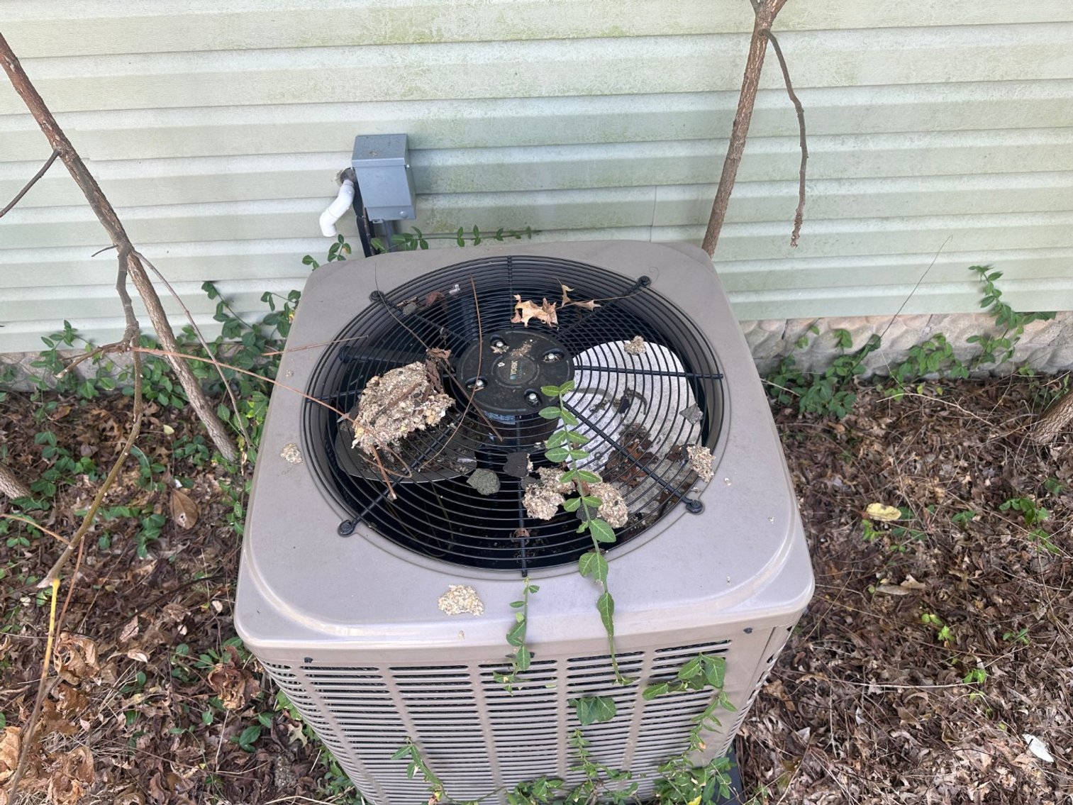 Image for Corner Lot Charm in Carterville Online Only Real Estate Auction