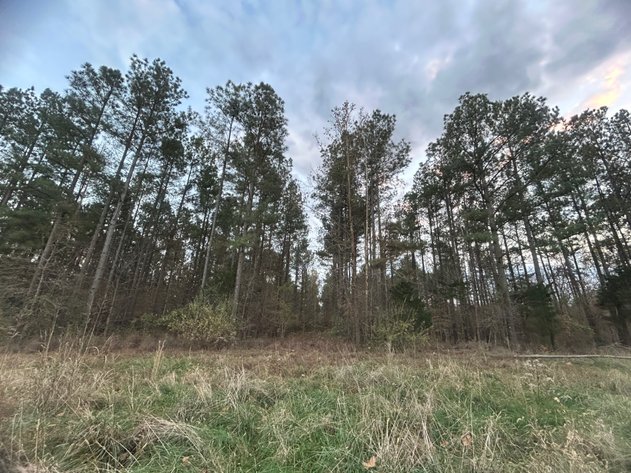 Image for Home, Pole Barn, and Approx. 100 +/- Acres