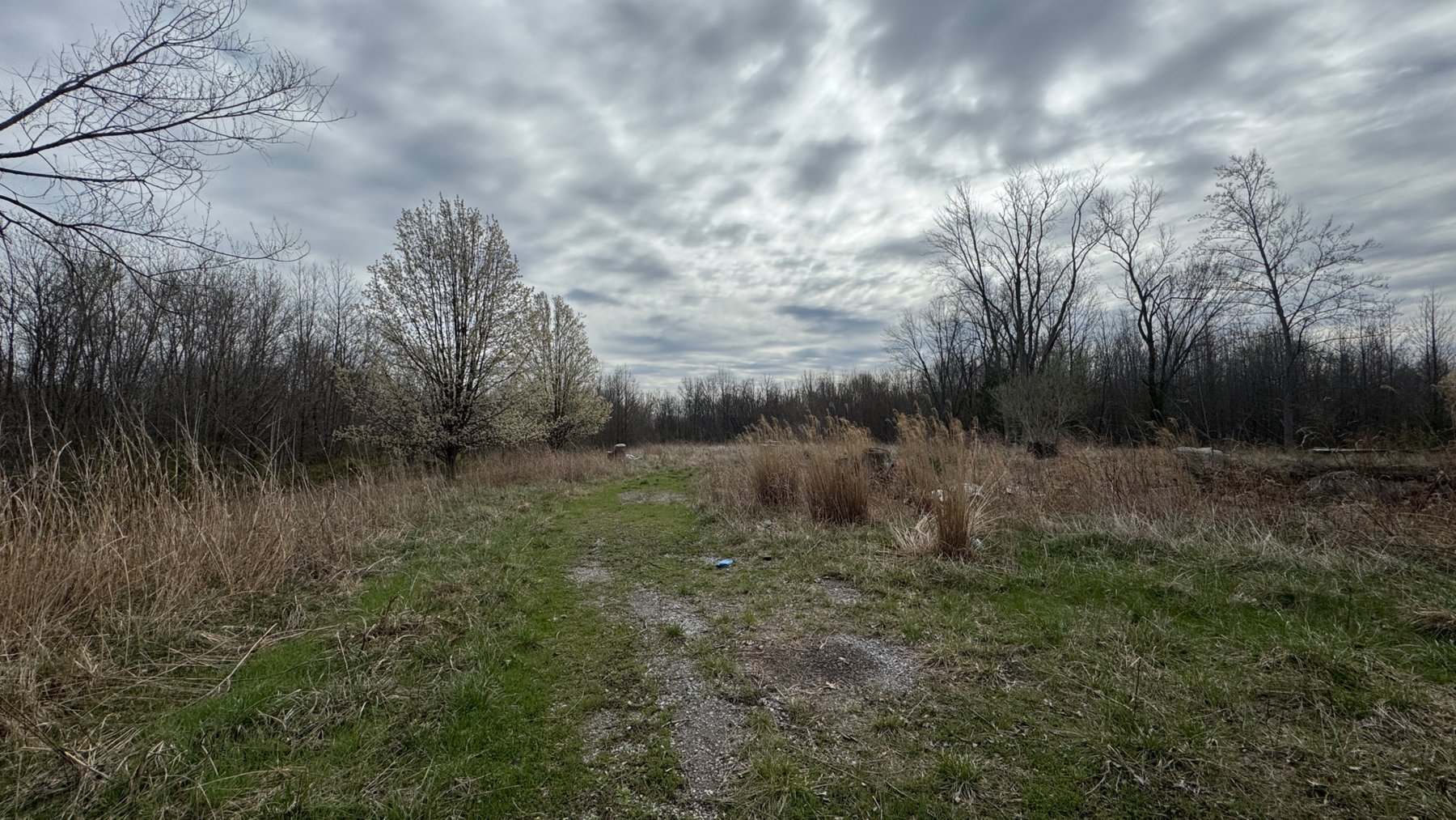Image for 20± Wooded Acres | Mule Creek Corridor | Marion, IL | Online Auction