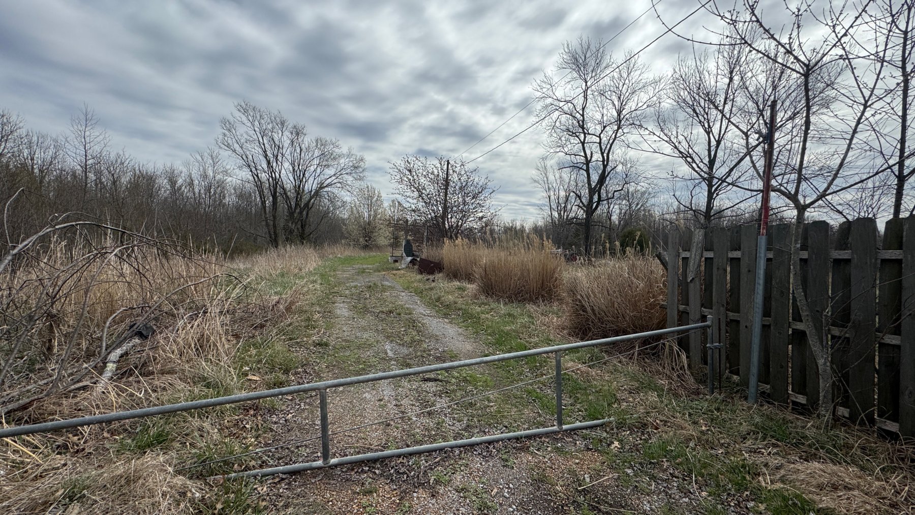 Image for 20± Wooded Acres | Mule Creek Corridor | Marion, IL | Online Auction