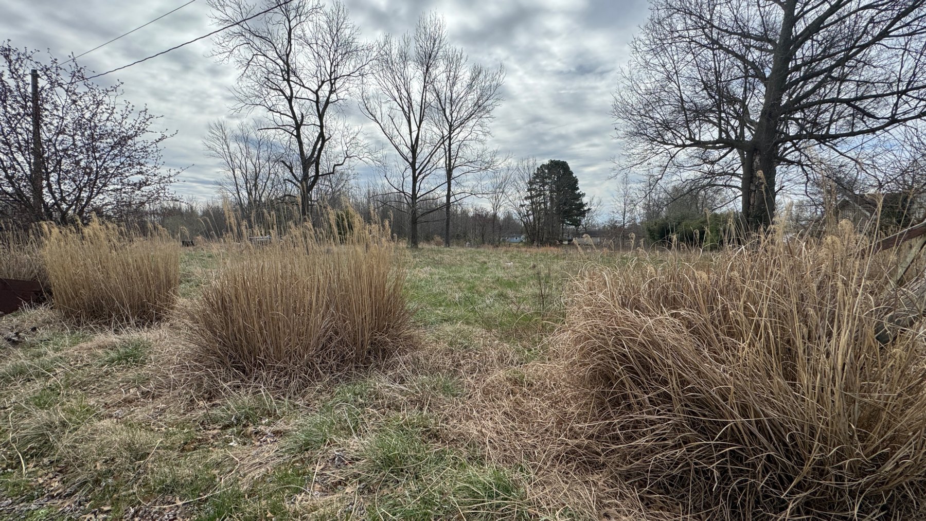 Image for 20± Wooded Acres | Mule Creek Corridor | Marion, IL | Online Auction