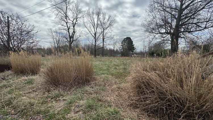 Image for 20± Wooded Acres | Mule Creek Corridor | Marion, IL | Online Auction