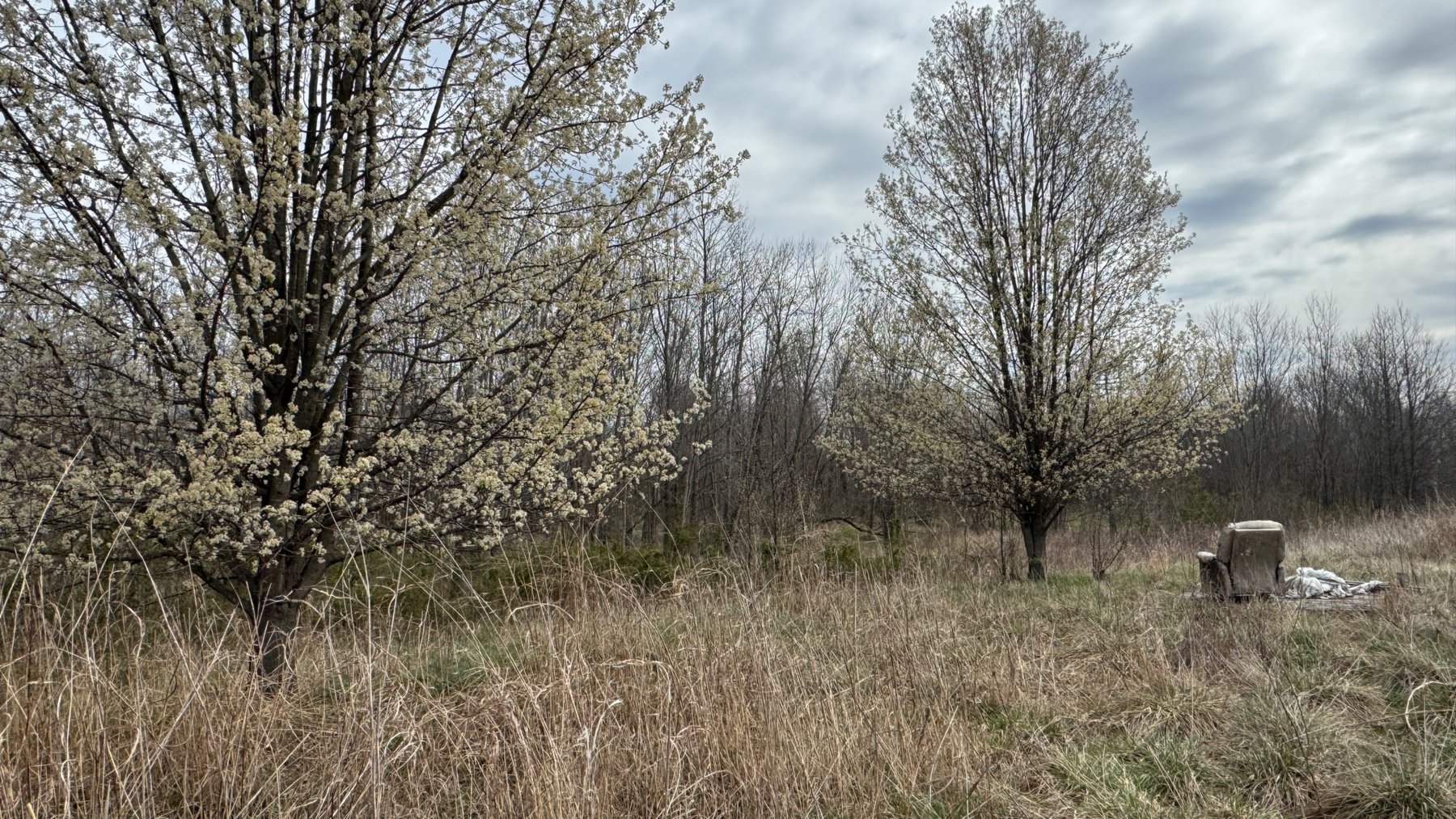 Image for 20± Wooded Acres | Mule Creek Corridor | Marion, IL | Online Auction