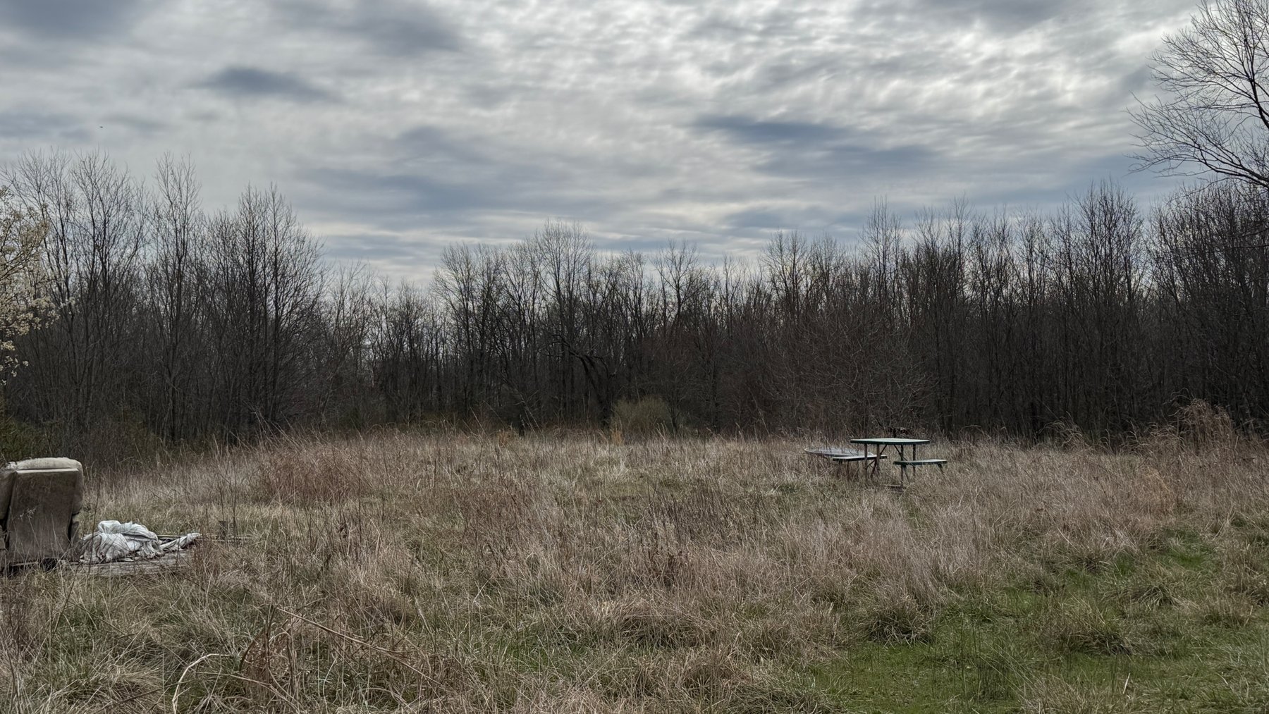 Image for 20± Wooded Acres | Mule Creek Corridor | Marion, IL | Online Auction