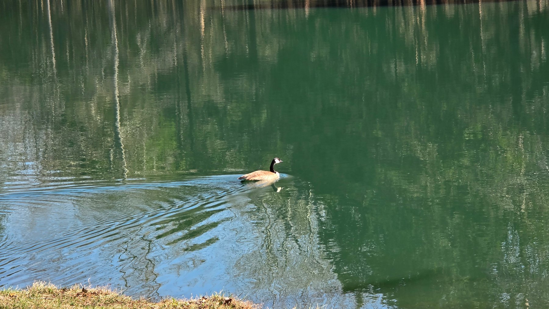 Image for 305 Campers Lane, Creal Springs, IL 62922