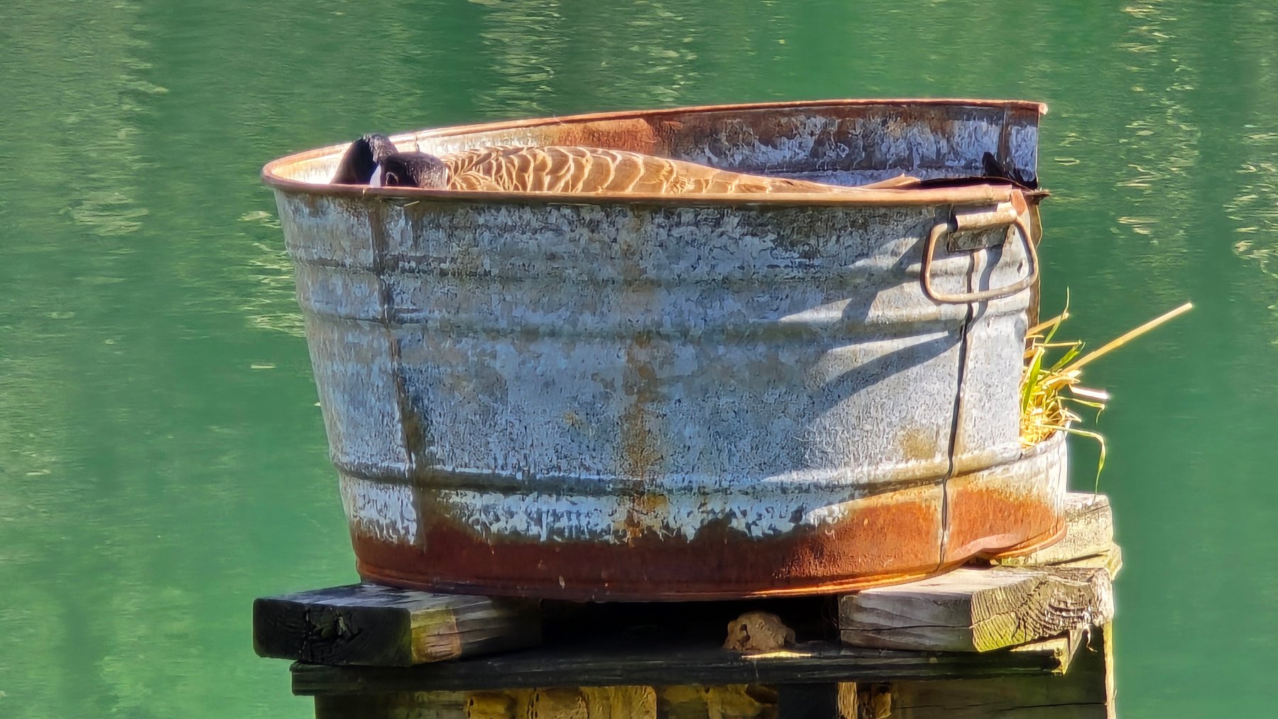 Image for 305 Campers Lane, Creal Springs, IL 62922