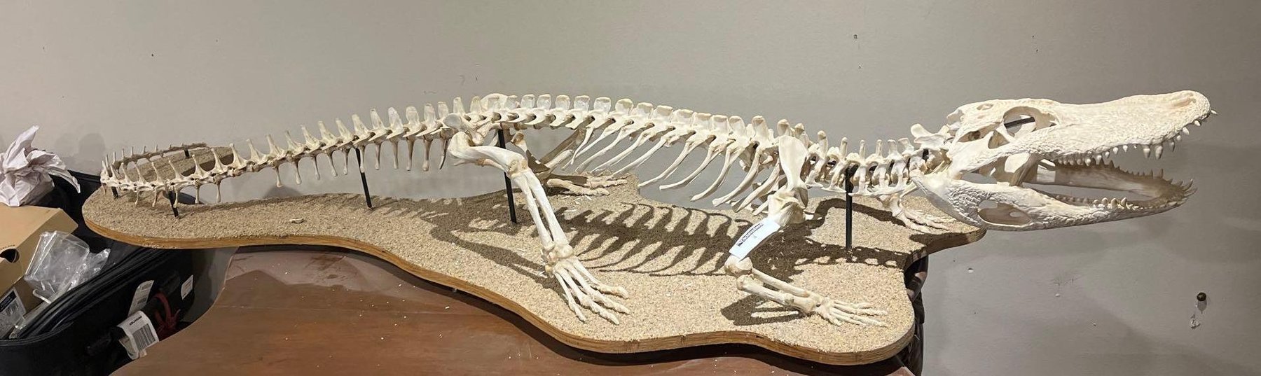 Image for Fantastic Estate Sale