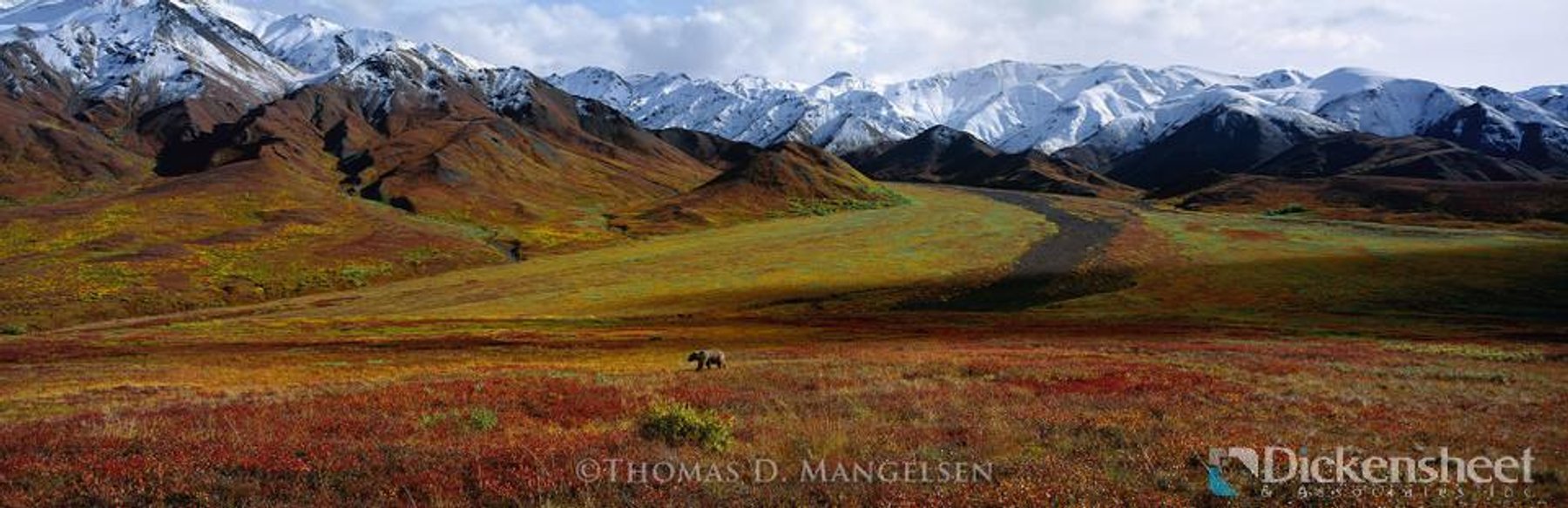 Image for DENVER-Glass Art, Artwork, Coins On Behalf Of The US Bankruptcy Court