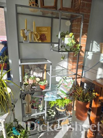 Image for DENVER- Twisted Tulip - Flowers, Gifts, Decor