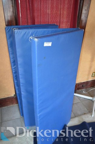 Image for LARGE FOLDING 2 INCH THICK PLAY MAT