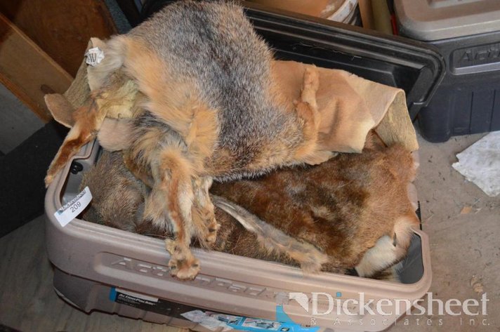 Image for TOTE OF VARIOUS PELTS