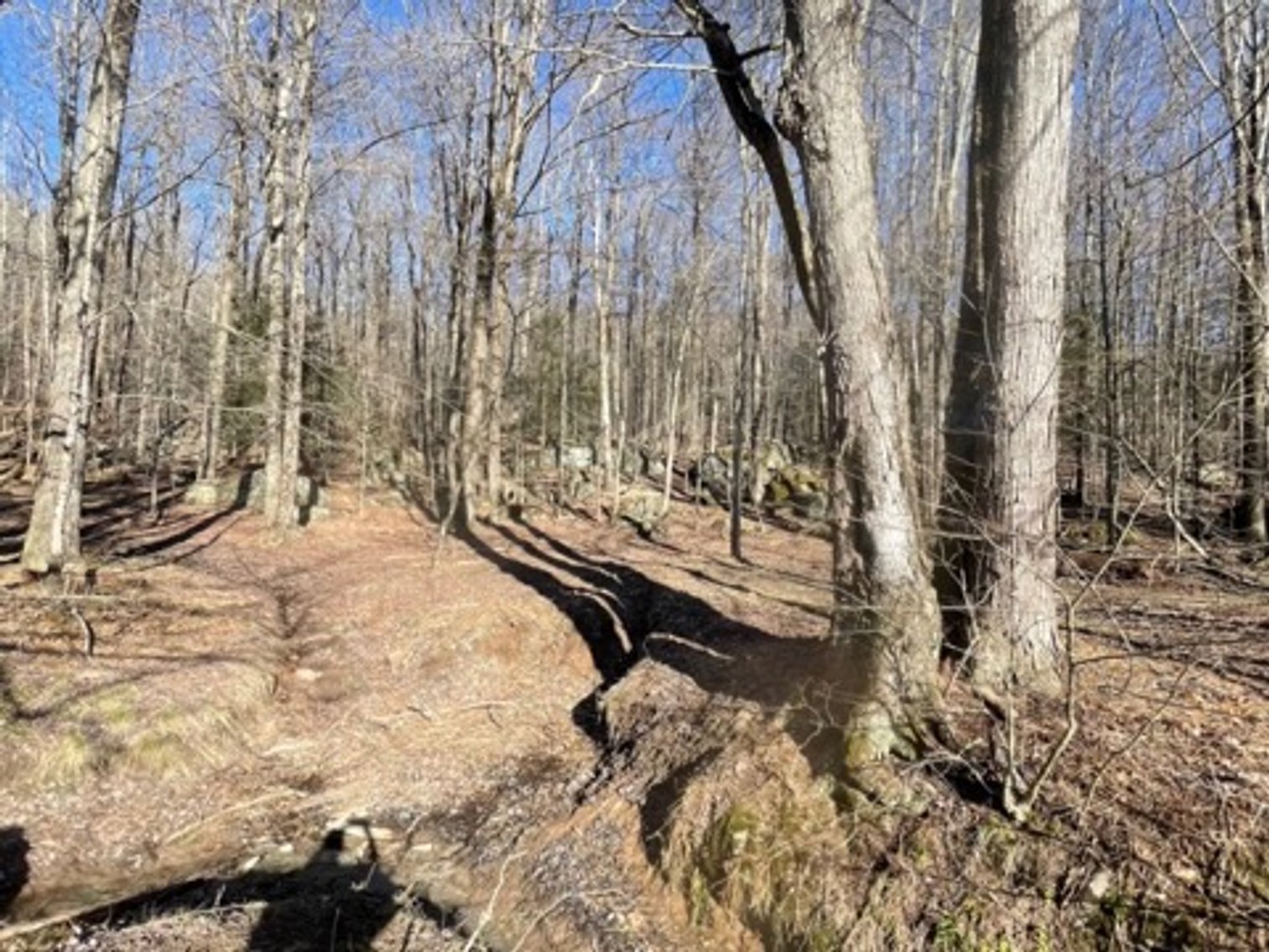 Image for Poconos and Erie PA Building Lots Public Online Auction