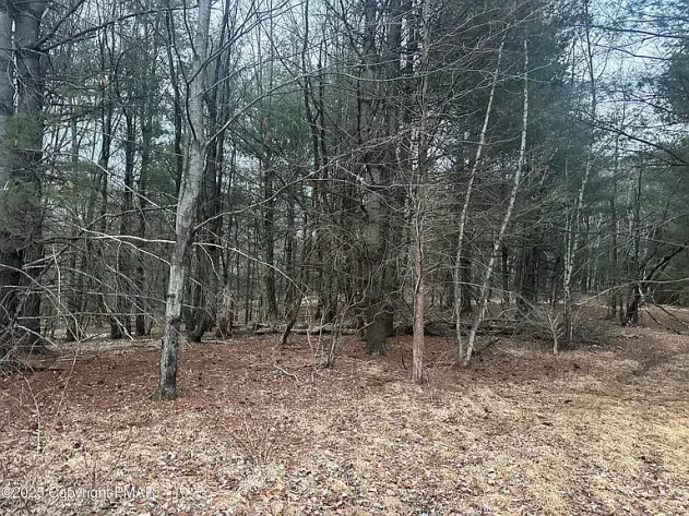 Image for (7) Building Lots in the Poconos Online Real Estate Auction - PA