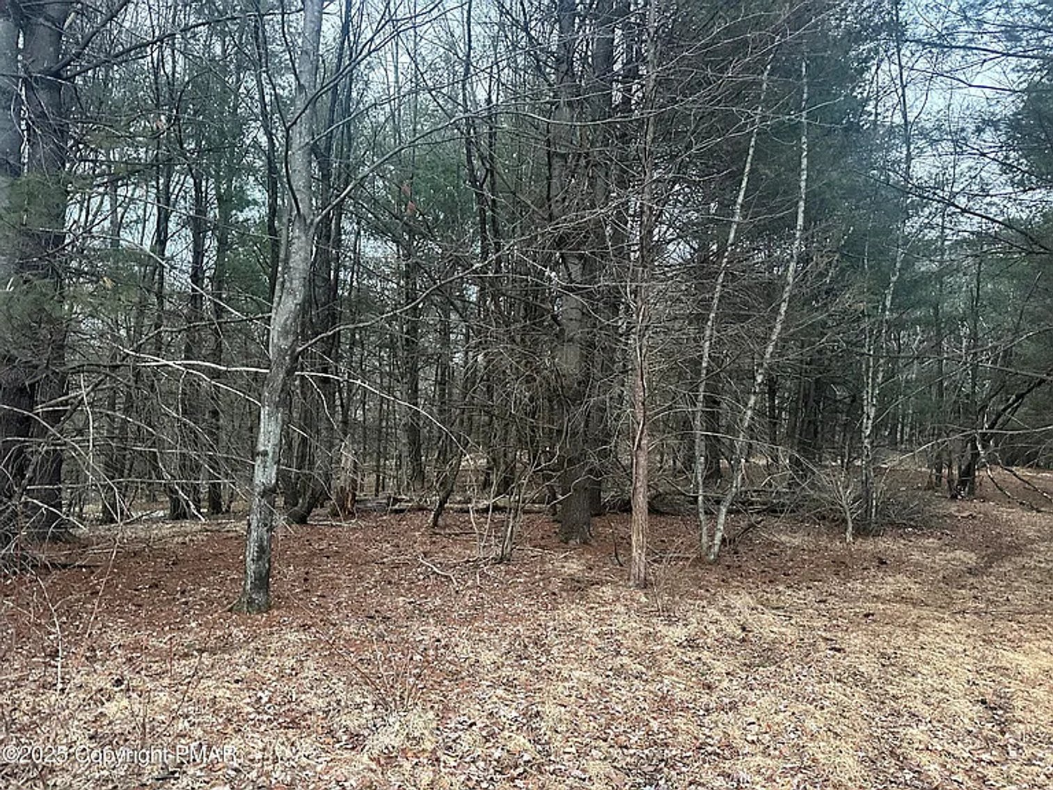 Image for (6)  Building Lots in the Poconos Online Real Estate Auction - PA