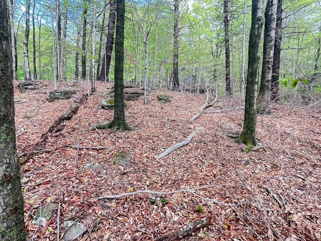 Image for (6)  Building Lots in the Poconos Online Real Estate Auction - PA