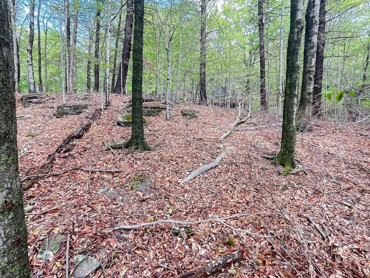 Image for (6)  Building Lots in the Poconos Online Real Estate Auction - PA