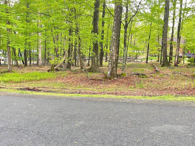 Image for (6)  Building Lots in the Poconos Online Real Estate Auction - PA