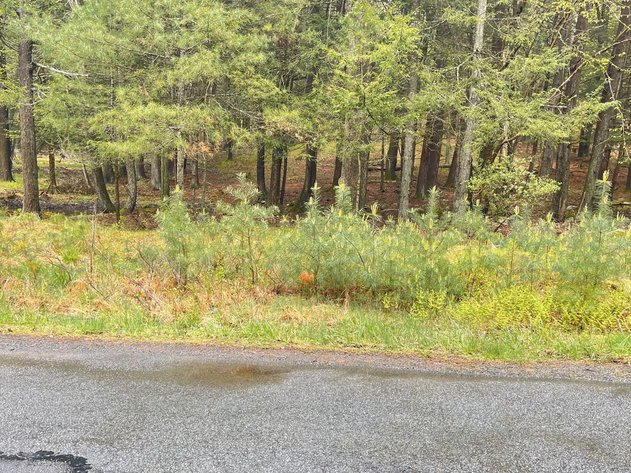 Image for (6)  Building Lots in the Poconos Online Real Estate Auction - PA