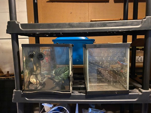 Image for LIVE Estate Auction Tools, Furniture & More - Shillington, PA