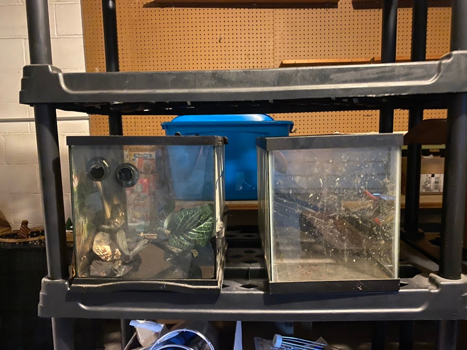 Image for LIVE Estate Auction Tools, Furniture & More - Shillington, PA