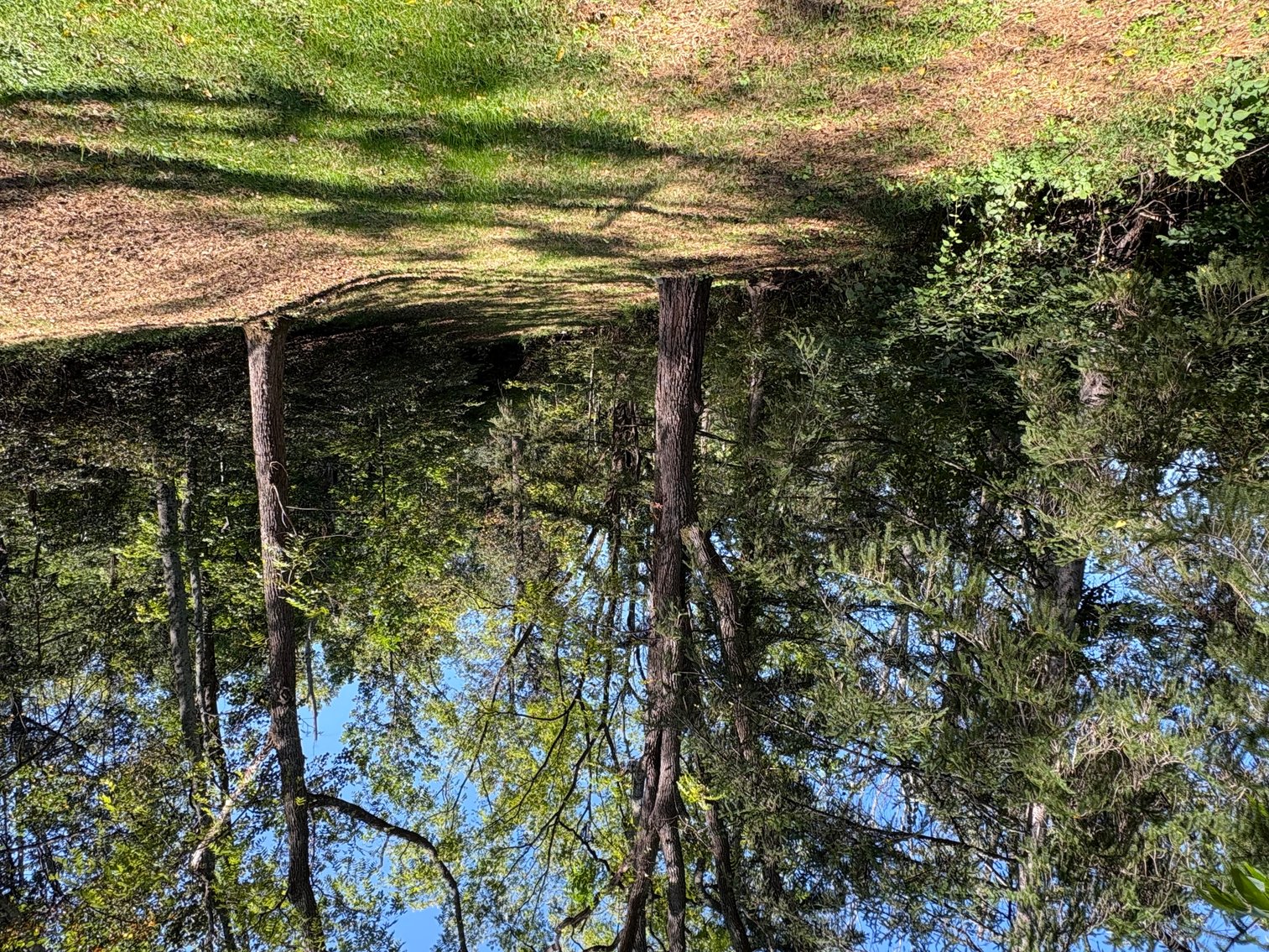 Image for ABSOLUTE Live Real Estate Auction Stone House on 3+ Acres - Boyertown, PA