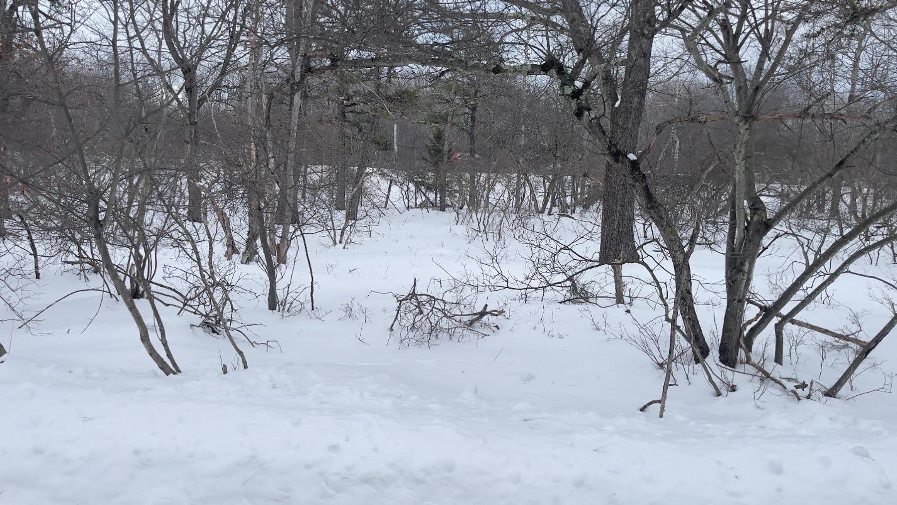 Image for Builder’s Auction – 4 Lots Sold as a Package Poconos, PA